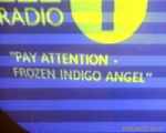 frozenindigoangel.jpg